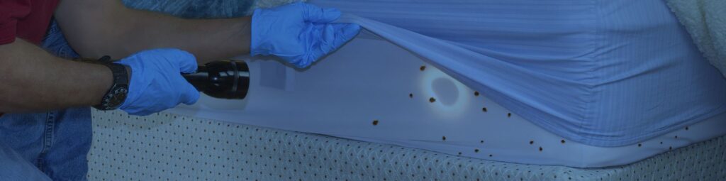 Bed Bug Prevention and Early Detection for Raleigh Travelers and Homeowners