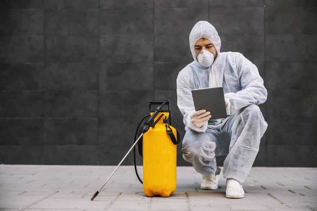 DIY vs. Professional Termite Control: What You Need to Know