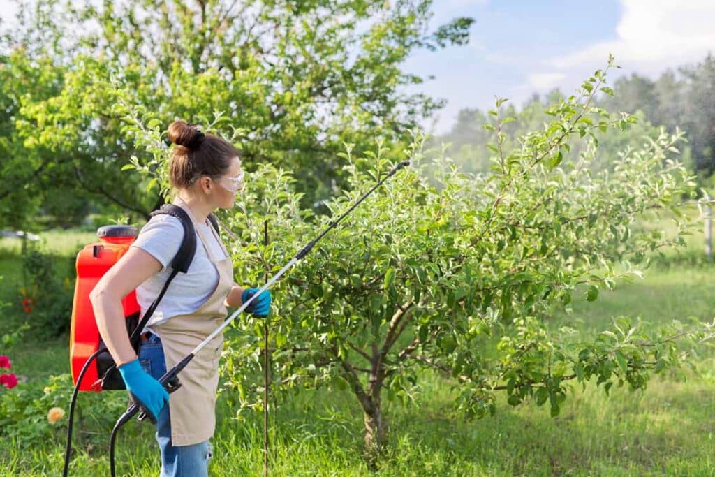 Eco-Friendly Pest Control Methods: Protecting Your Garden From Stink Bugs